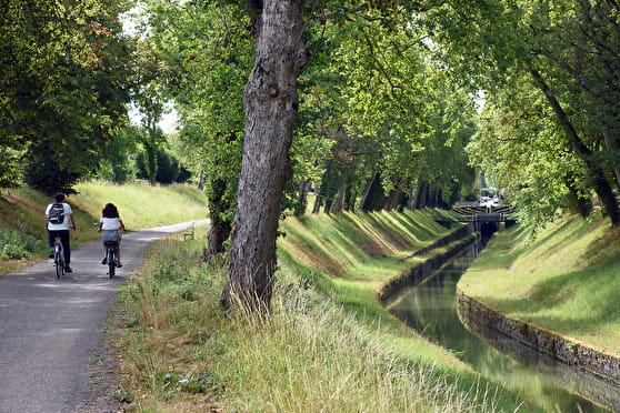 Vélo le long du Canal