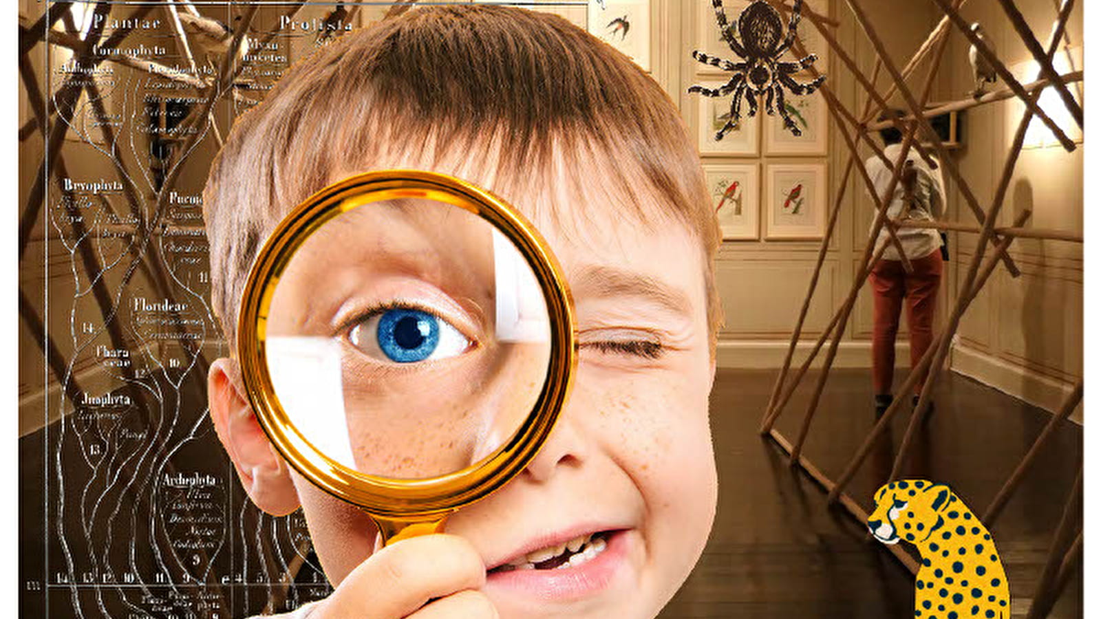 Visite famille : Insectes et autres petites bêtes !