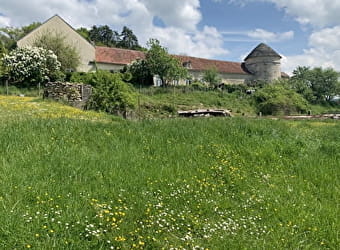 Gîte de la Ferme de Belle Vue - La Côte - FAIN-LES-MOUTIERS