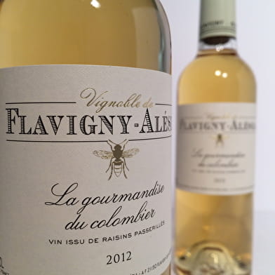 Domaine de Flavigny-Alésia