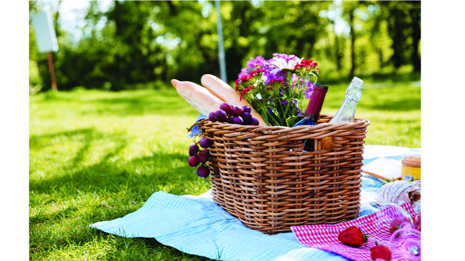 Journée Fantastic Picnic