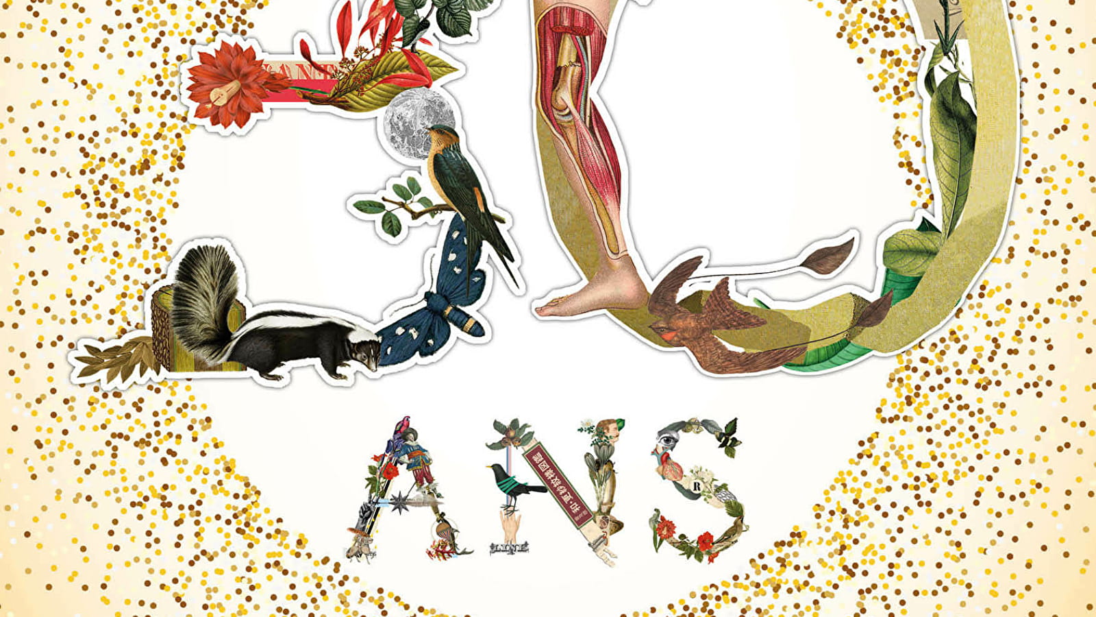 Le Fol anniversaire, les 30 ans de la médiathèque
