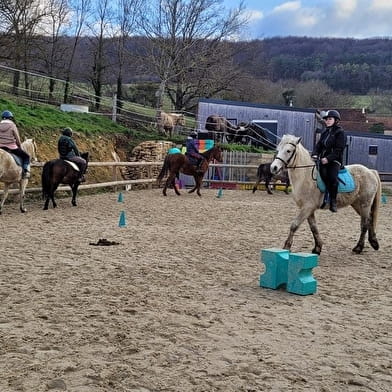 Du Vent Dans Les Chevaux