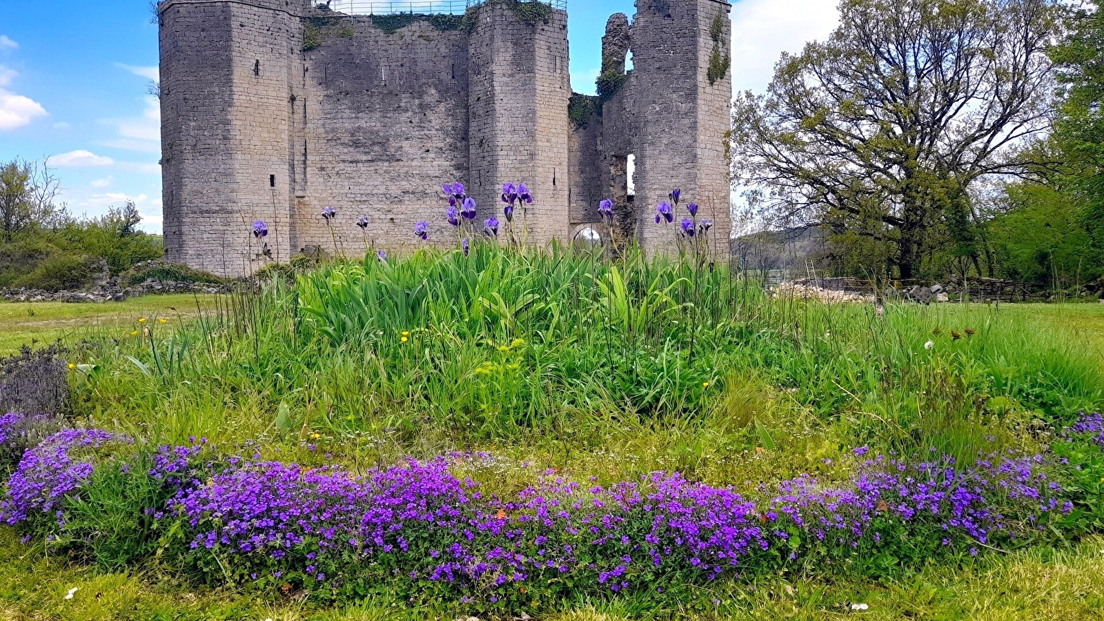 Château de Montfort: exposition photographique