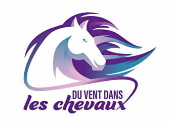 Du Vent Dans Les Chevaux - SENAILLY