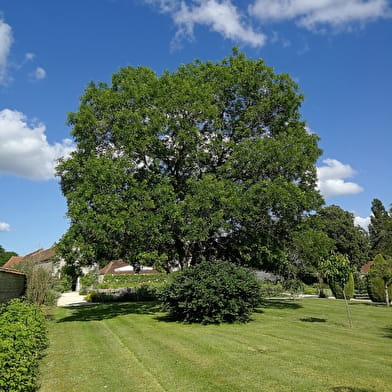 Rendez-vous aux jardins de la Grande forge de Buffon