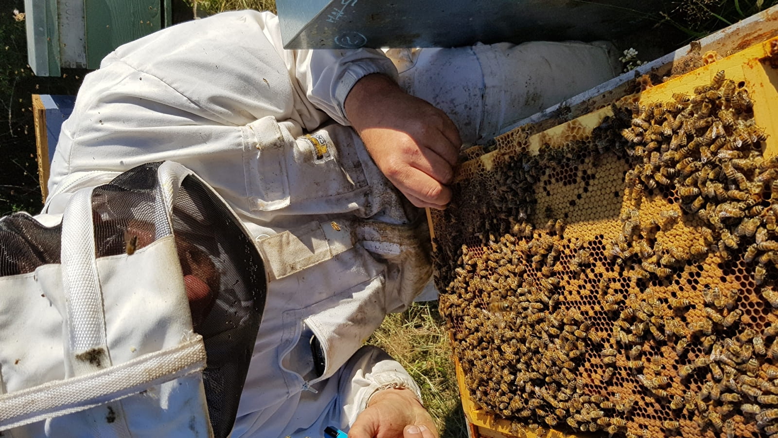 GAEC des Ruchers de l'Armançon