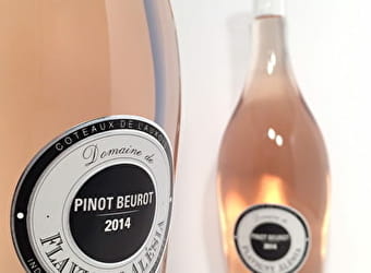 Domaine de Flavigny-Alésia - FLAVIGNY-SUR-OZERAIN