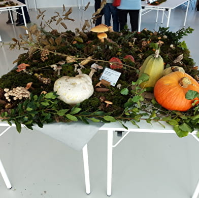 Salon du champignon, de la nature et de la forêt