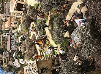 Noël à l'abbaye de Fontenay - crèche et marché de Noël - MARMAGNE