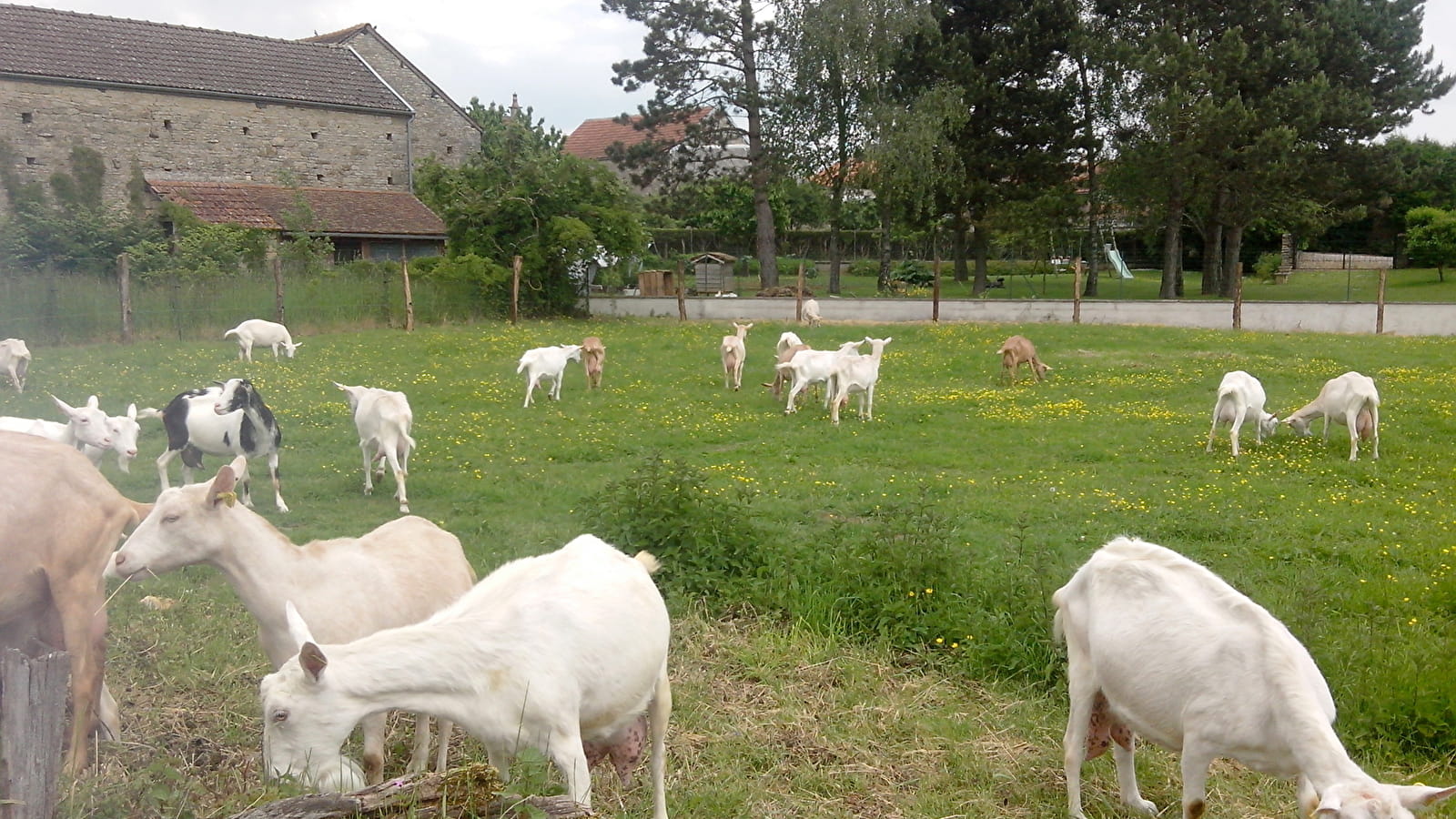 La Corne Vaudrille