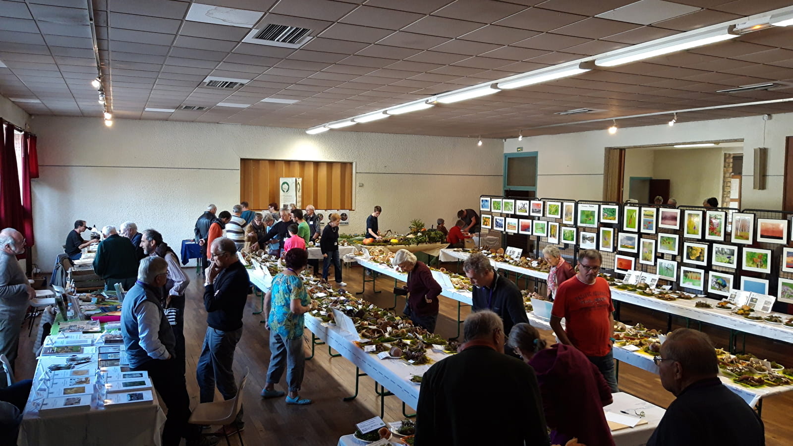 Salon du champignon, de la nature et de la forêt