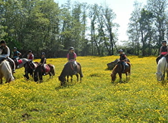 Poney Club du Moulin - VILLAINES-LES-PREVOTES