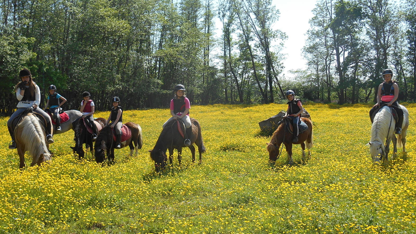 Poney Club du Moulin