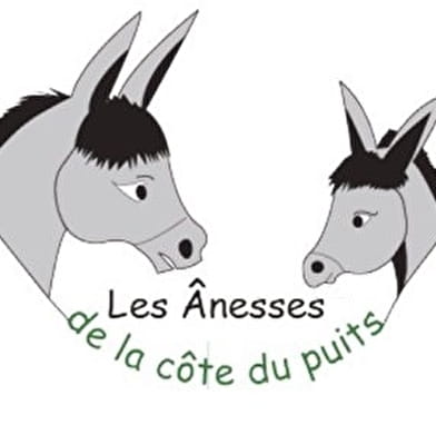 LES ANESSES DE LA CÔTE DU PUITS