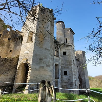 Visites guidées château de Rochefort
