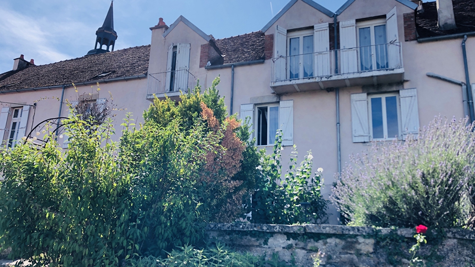 La Roseraie de Saint-Rémy - La Rose des Sables